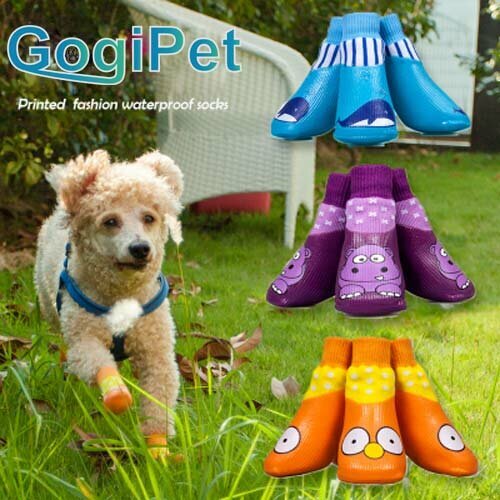 GogiPet nepremočljivi čevlji za pse "Simpson" - različne barve
