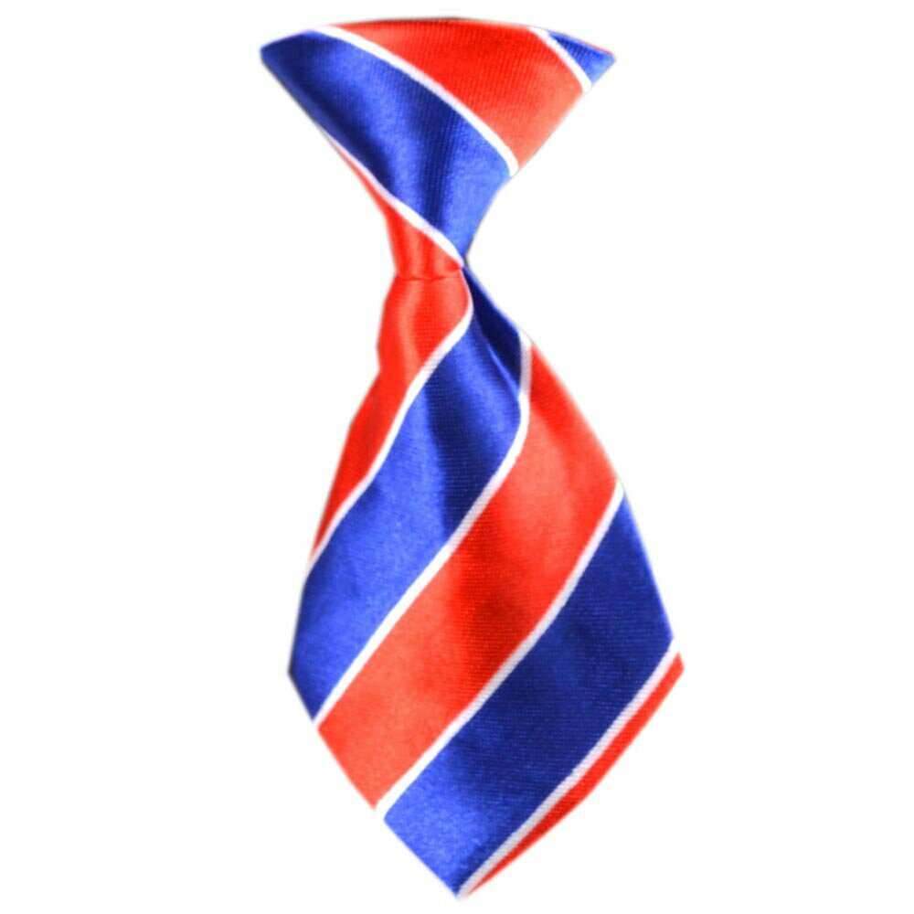 GogiPet kravata za pse "Vili" - modni dodatki za pse