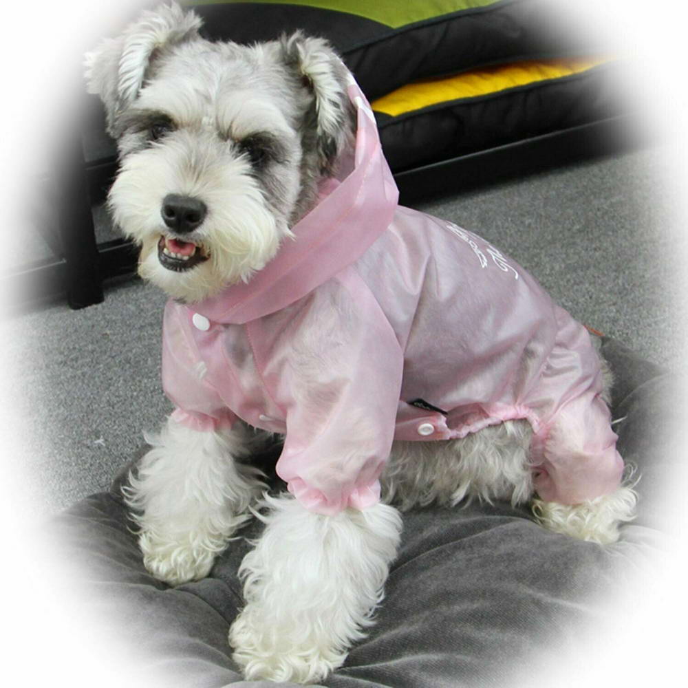GogiPet® roza dežni plašček za pse "Walking in the Rain" delno prosojen in vedno moden