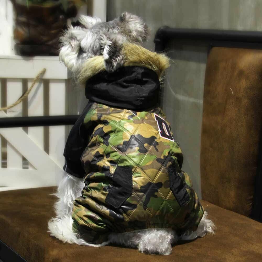 Vojaški kombinezon za psa "Army" - prešito oblačilo