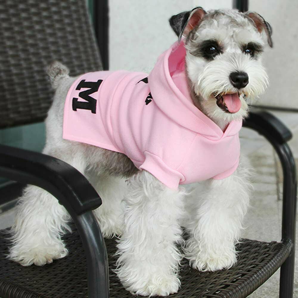 Pink, topel pulover za pse "Modern"