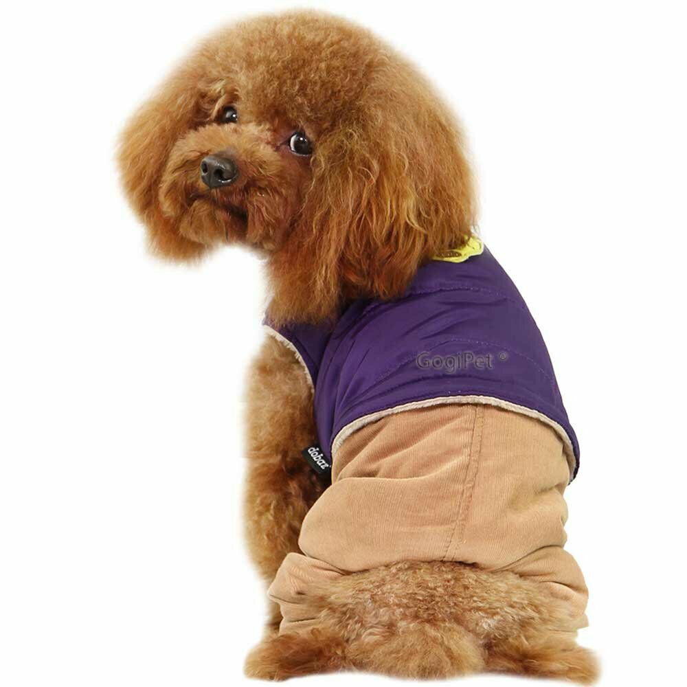 GogiPet® jakna z žametnimi hlačami za psa - lila barva
