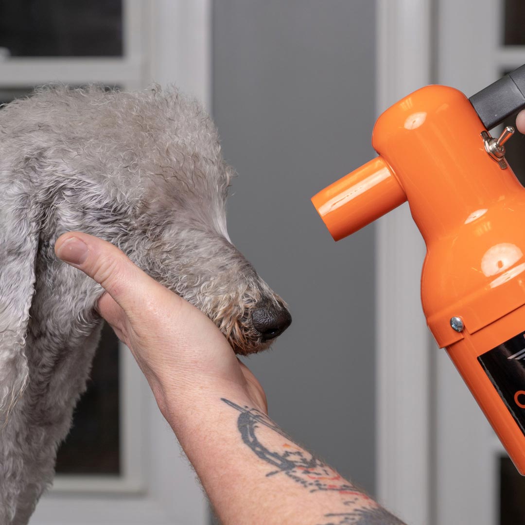 Metro Air Force Quick Draw sušilnik za pse - sušilnik za sušenje občutljivih delov telesa