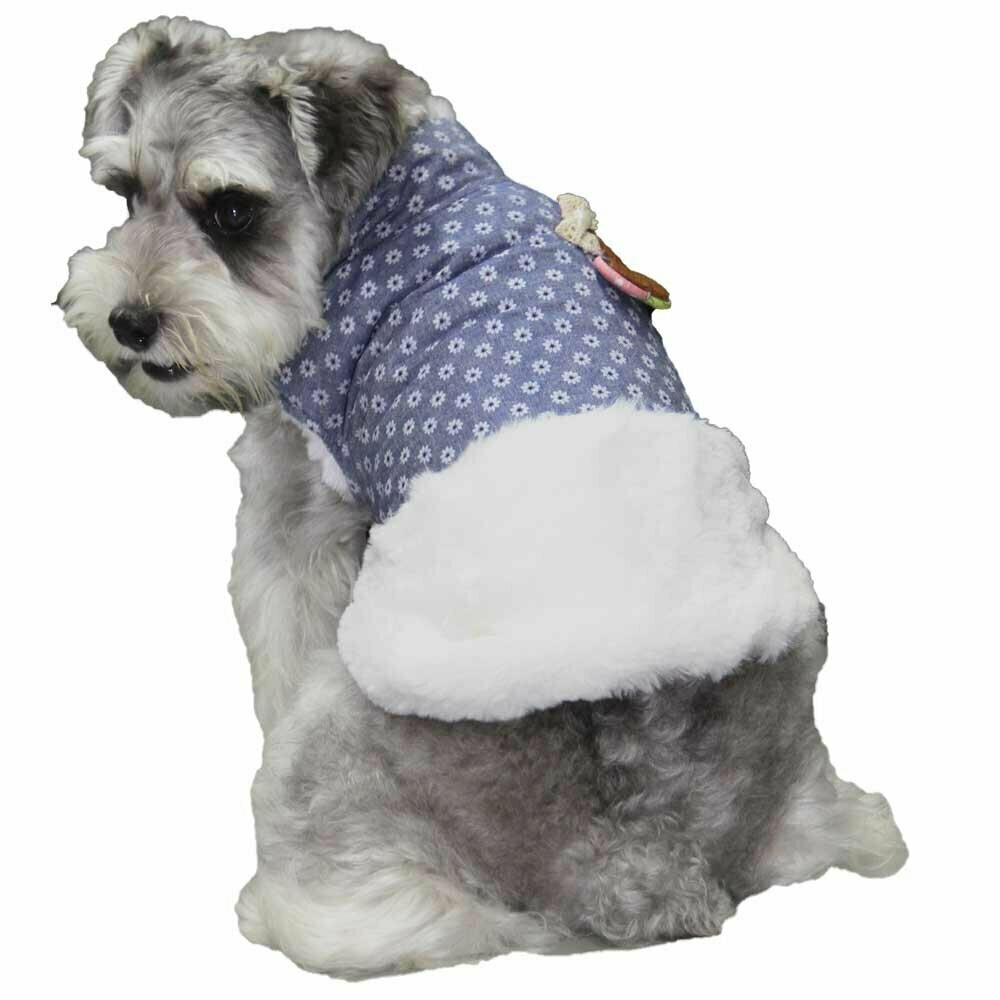 GogiPet zimska jakna za psa "Florence" - modra barva