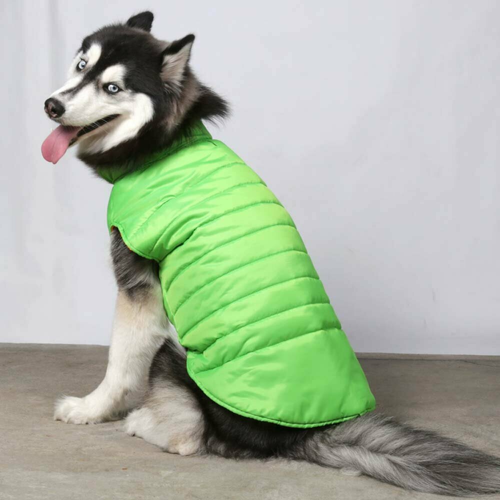 Tople jakne za pse velike rasti - sv. zelena - Big Dog