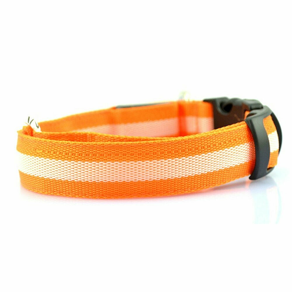 Ovratnica za pse "Slim Line" - oranžna barva, velikost L