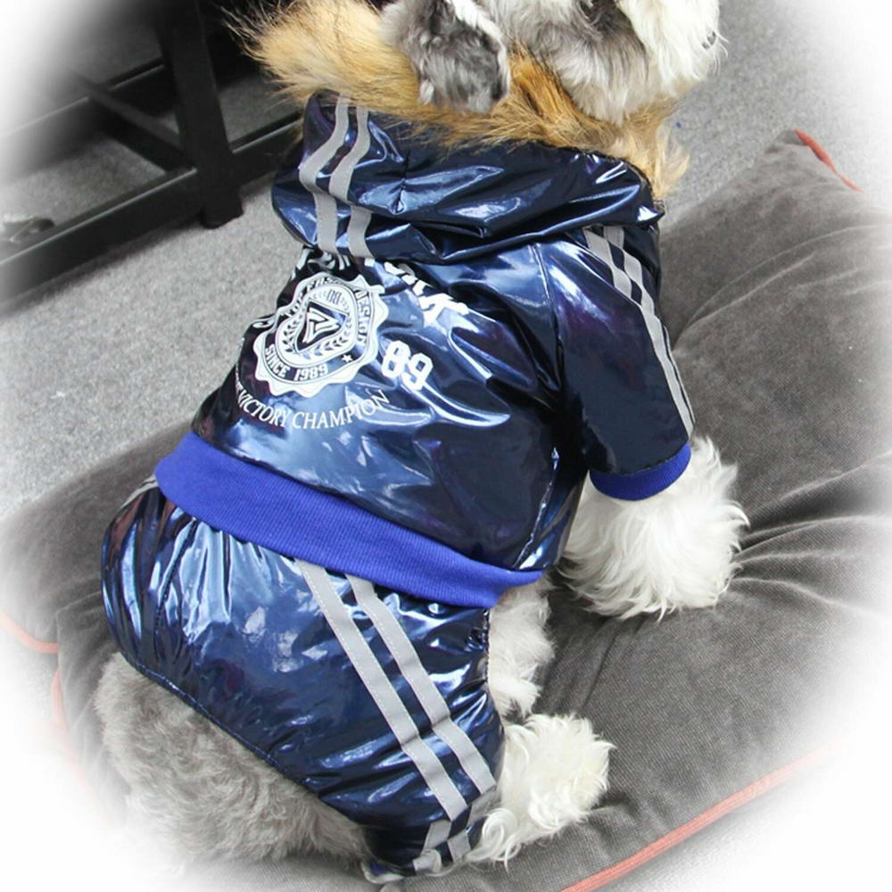Toplo, zimsko oblačilo za psa "New York" - modra barva