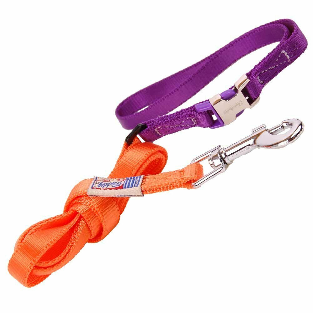 "Touchdog" ovratnica s povodcem za psa - oranžna in vijolična barva, velikost S