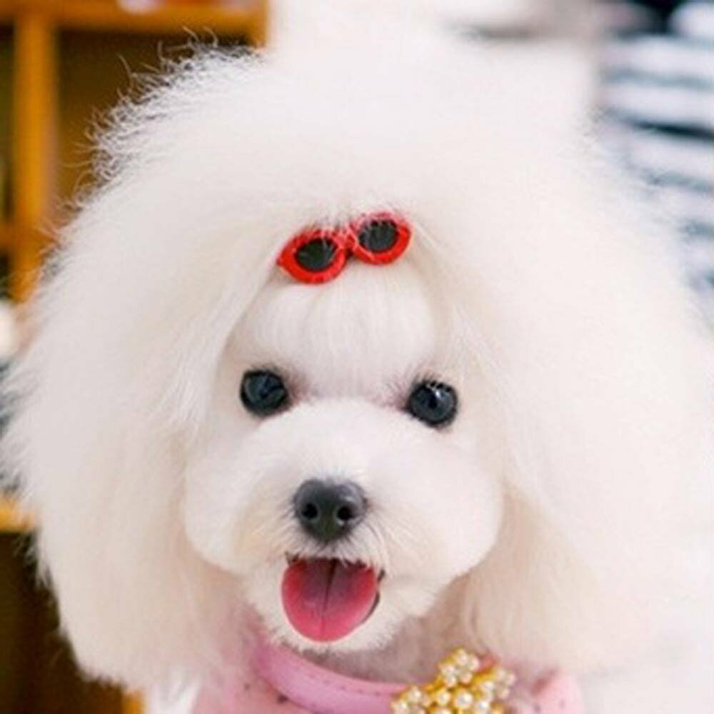 GogiPet® sponka za dlako psov Pink očala za velike in majhne pse