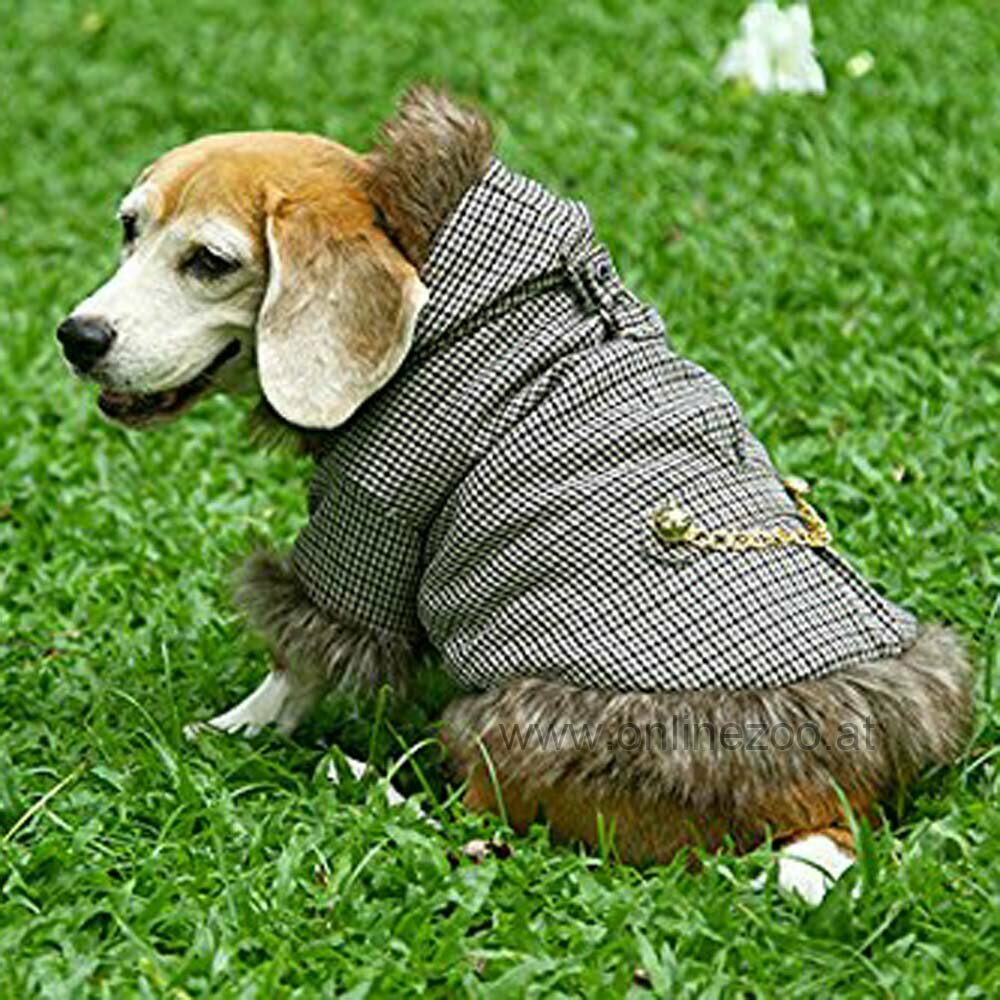 DoggyDolly Shinori rjava jakna za pse