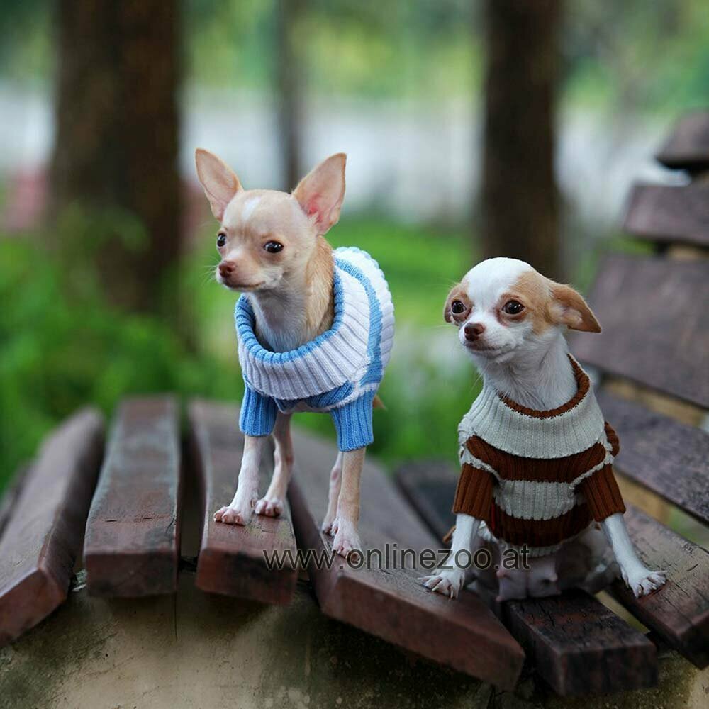 Pleten pulover za psa - modro bel