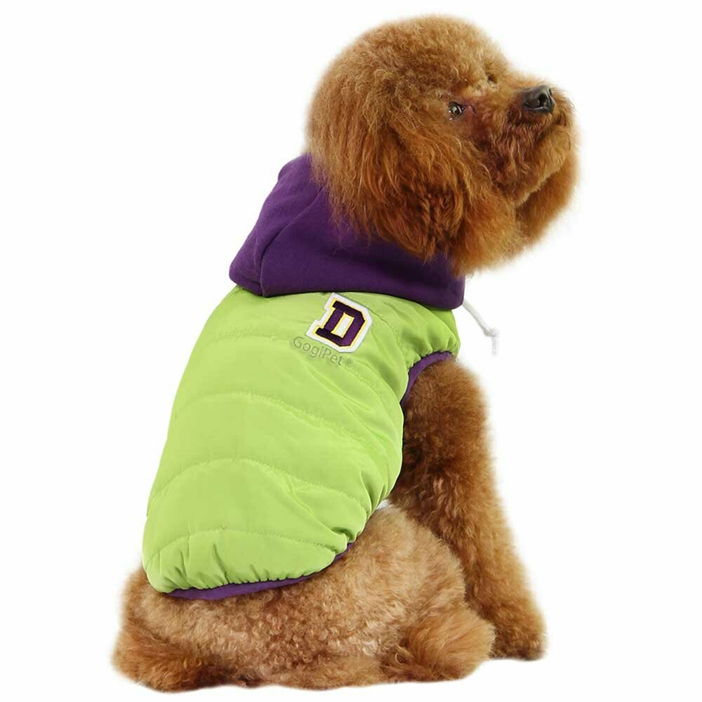GogiPet® zimska jakna za psa - svetlo zelena barva
