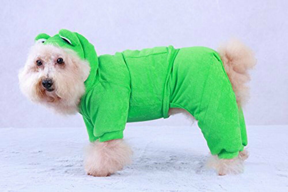 Športni komplet Žaba za psa - Oblačila za pse