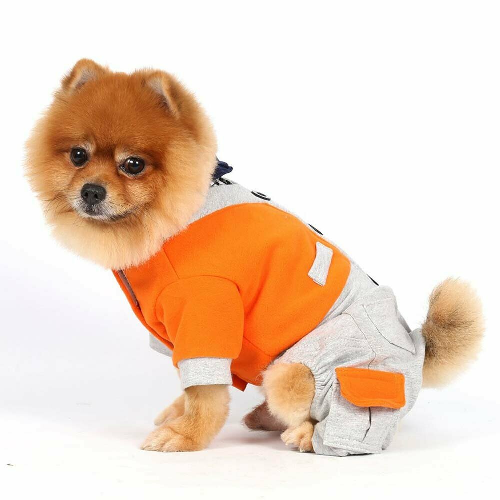 Komplet za psa, model na 4 tačke - Športno elegantno oblačilo DoggyDolly 