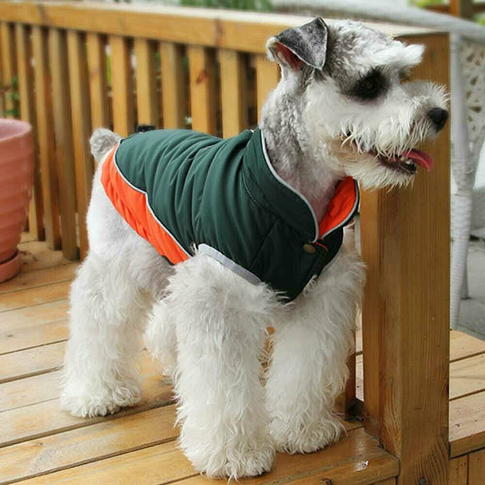 Klasični zimski plašč za psa velike rasti - zeleno oranžna barva, kroj brez rokavov