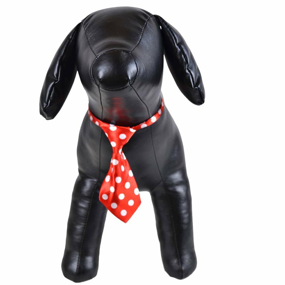 GogiPet kravate za pse "Henry"