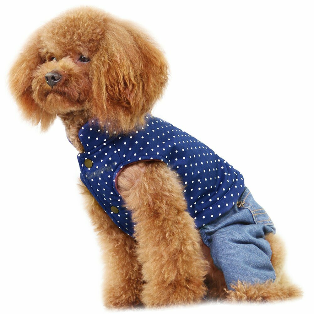 GogiPet Topla jakna s hlačami za psa "Blue Royal"