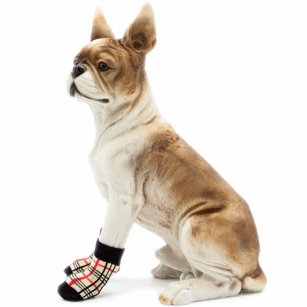 Kakovostne zaščitne nogavice za psa 