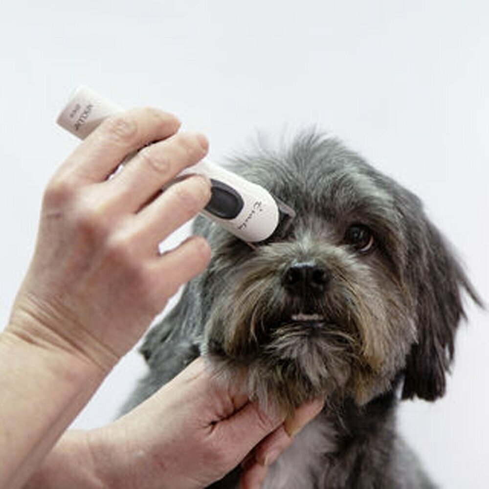 Odstranjevenje dlake med očmi - majhen strojček za striženje psov Aesculap Exacta