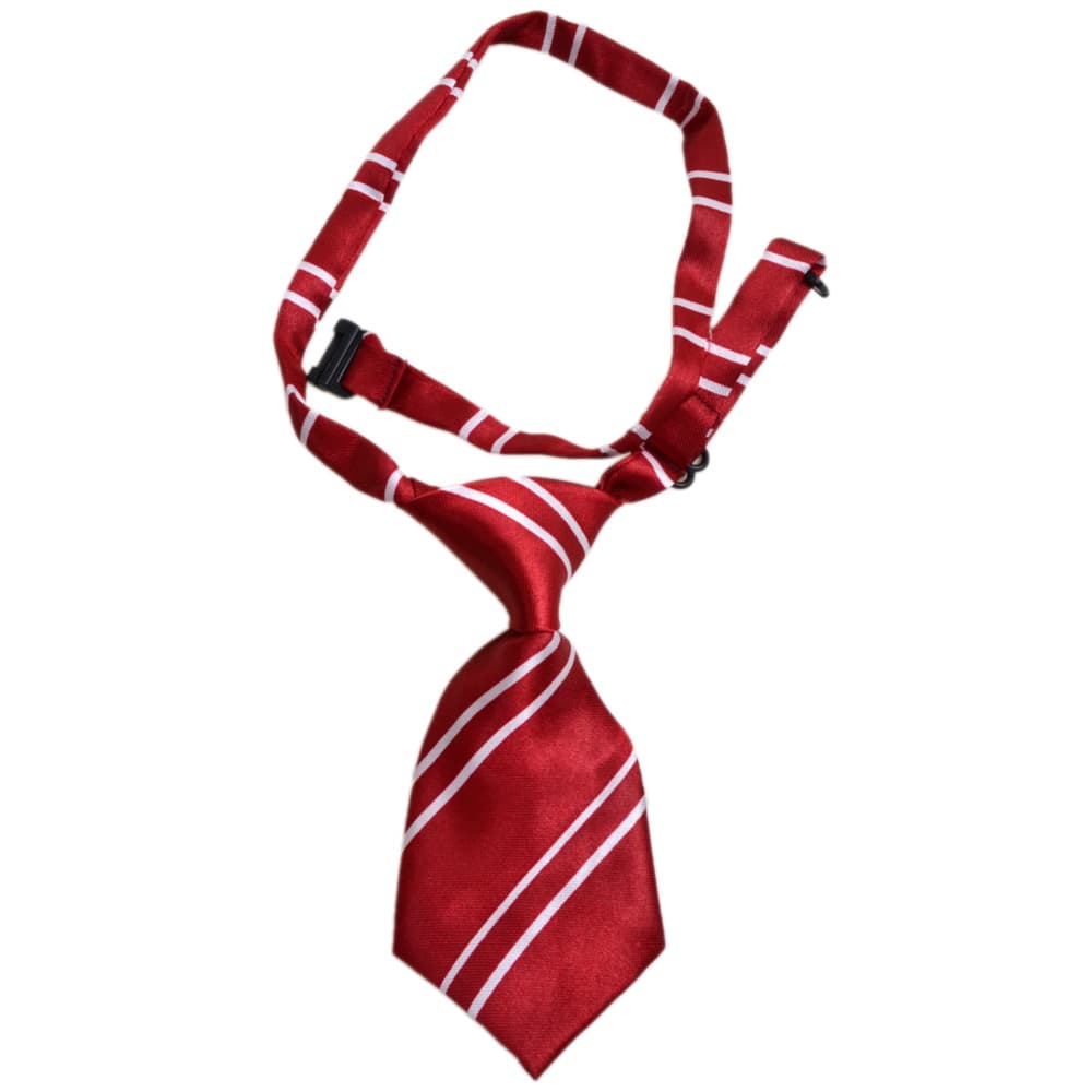 Rdeča kravata Winston