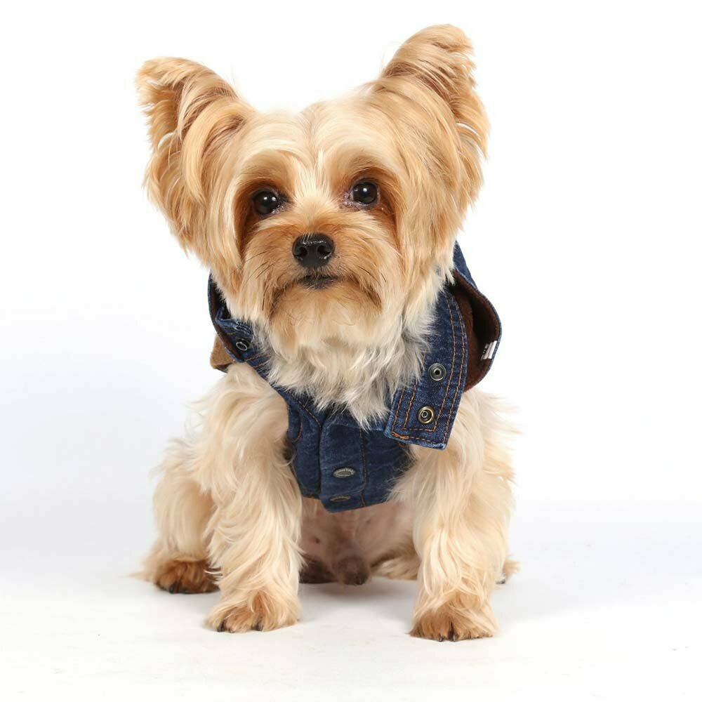 Original DoggyDolly Jeans jakna - modra - Topla oblačila za pse