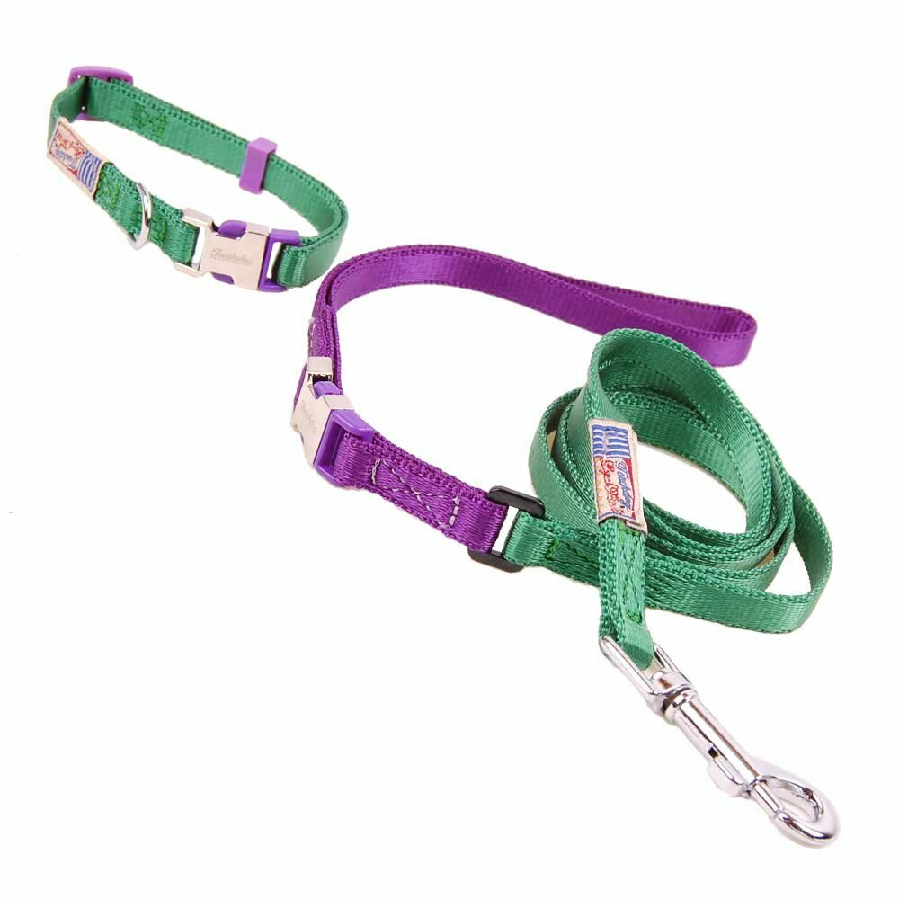 "Touchdog" ovratnica s povodcem za psa - zelena in vijolična barva, velikost S
