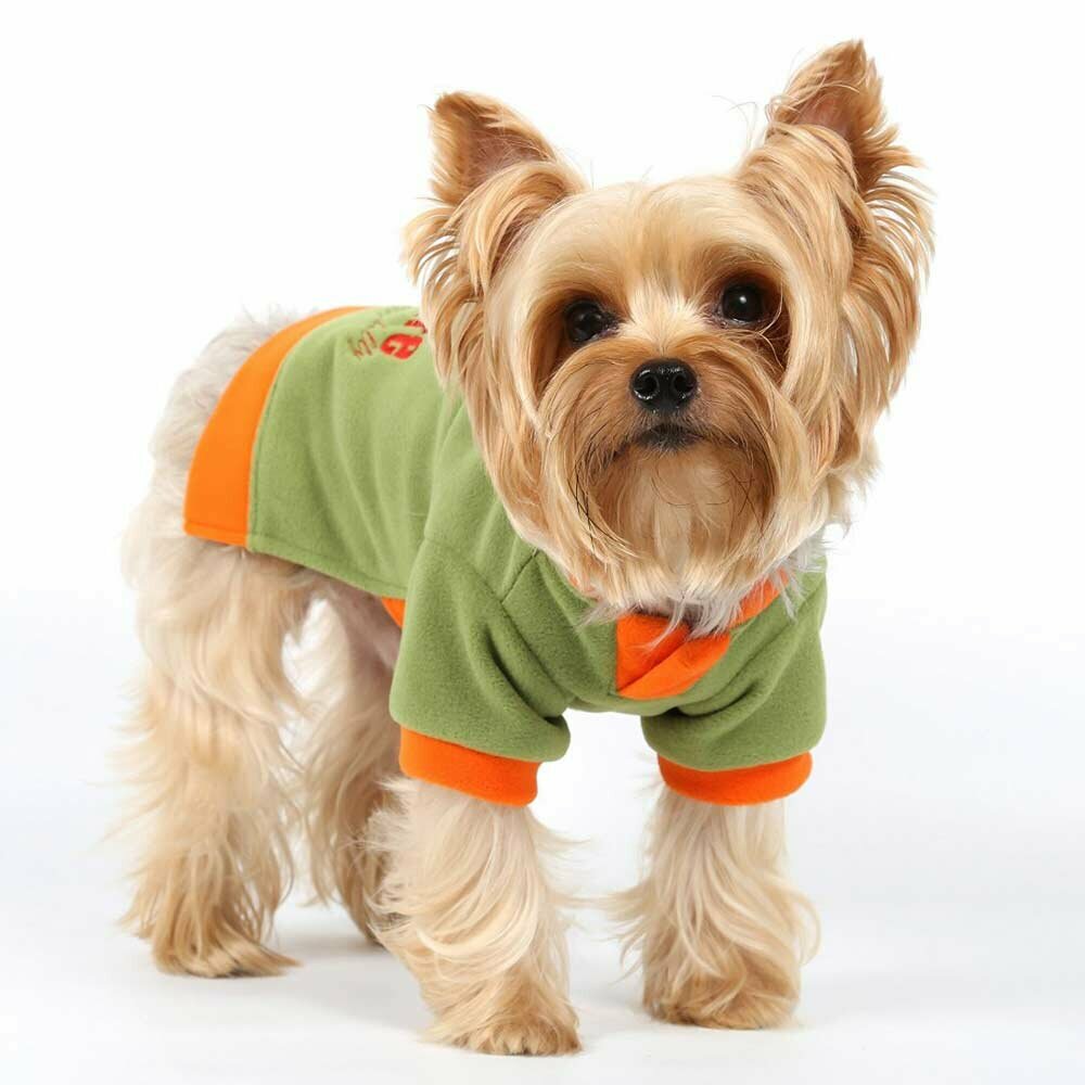 Topli, zeleni zimski pulover za pse