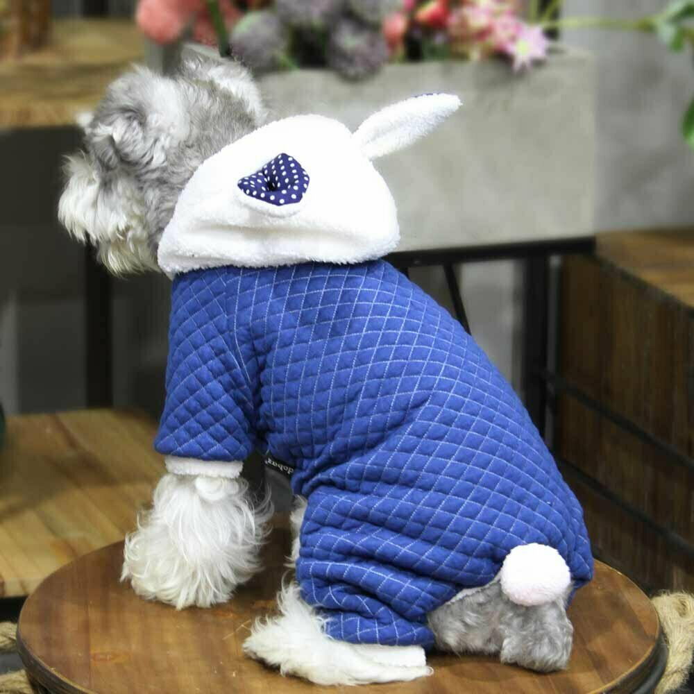 Zimski komplet za psa "Blue Bunny" s kapuco z ušesi