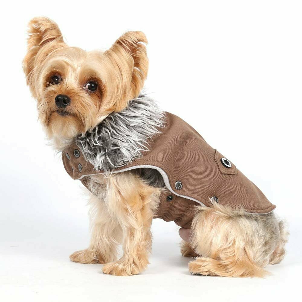 DoggyDolly zimska jakna za pse rjava - z ovratnikom