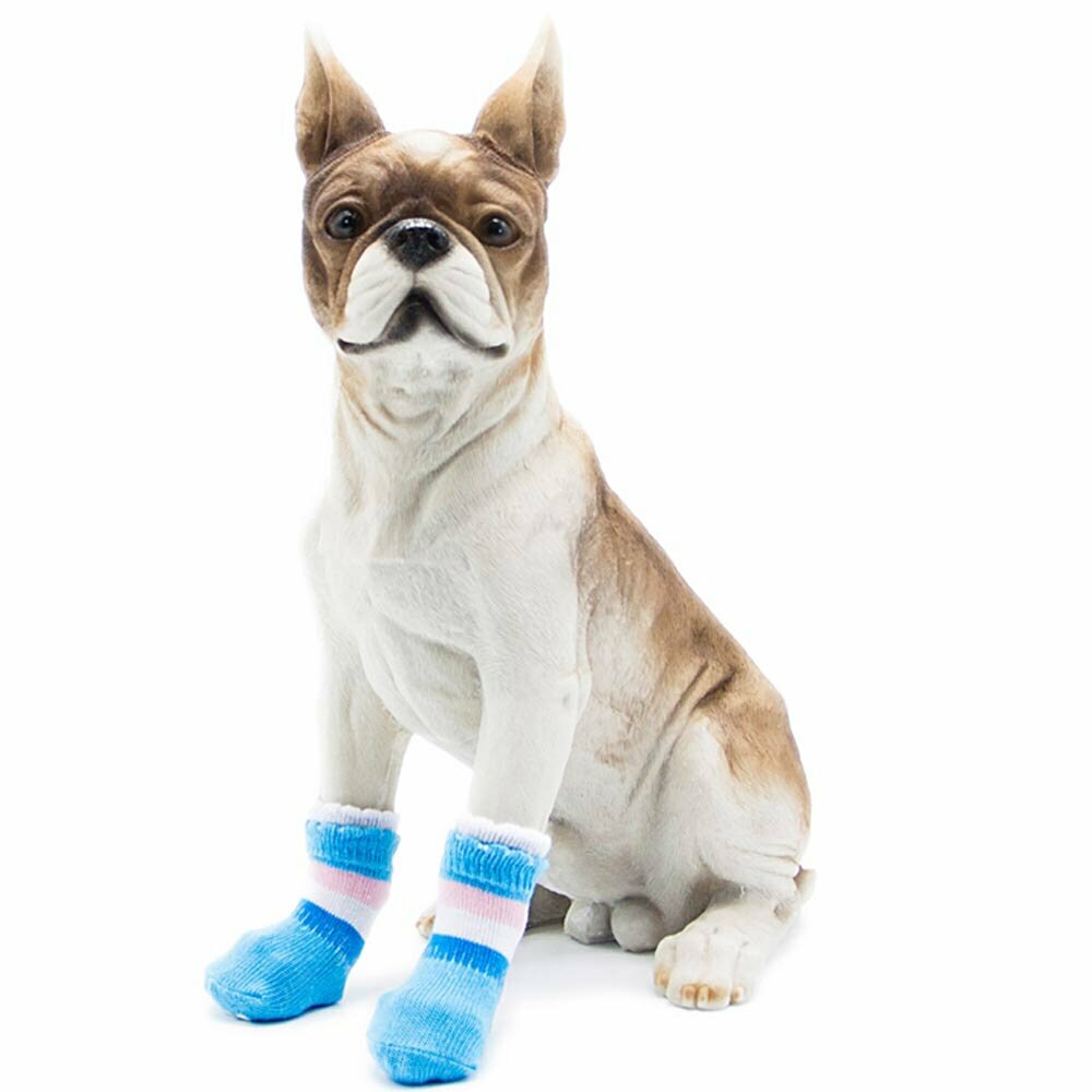 Nogavice za psa - GogiPet kontrola kakovosti - svetlo modra barva