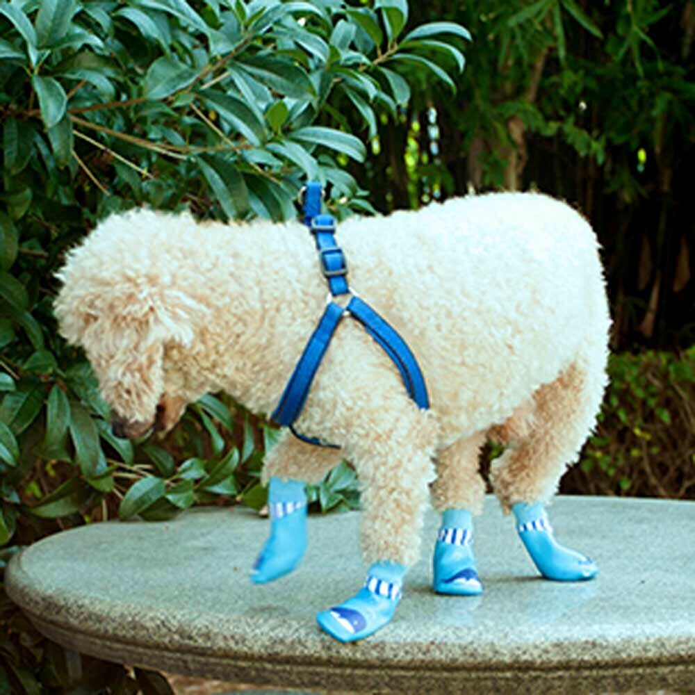 Gumijasti čevlji za pse - modra barva
