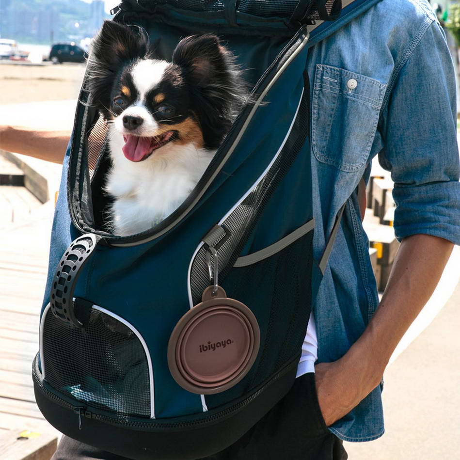 Zložljiva posoda za pse - preprosto nameščanje na torbo, nahrbtnik ali voziček je omogočeno s kovinsko zaponko