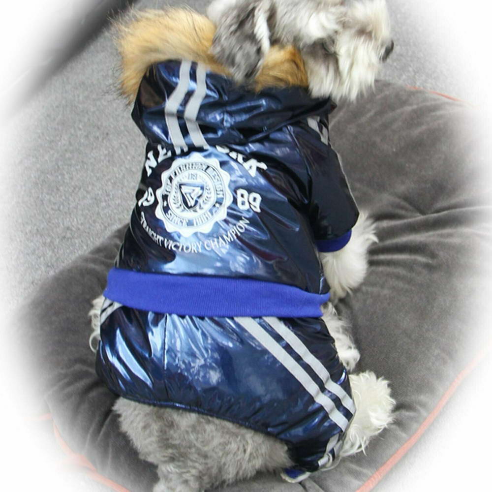 Zimsko oblačilo za psa "New York" - modra barva, odsevni trakovi na kapuci, rokavih in hlačnicah