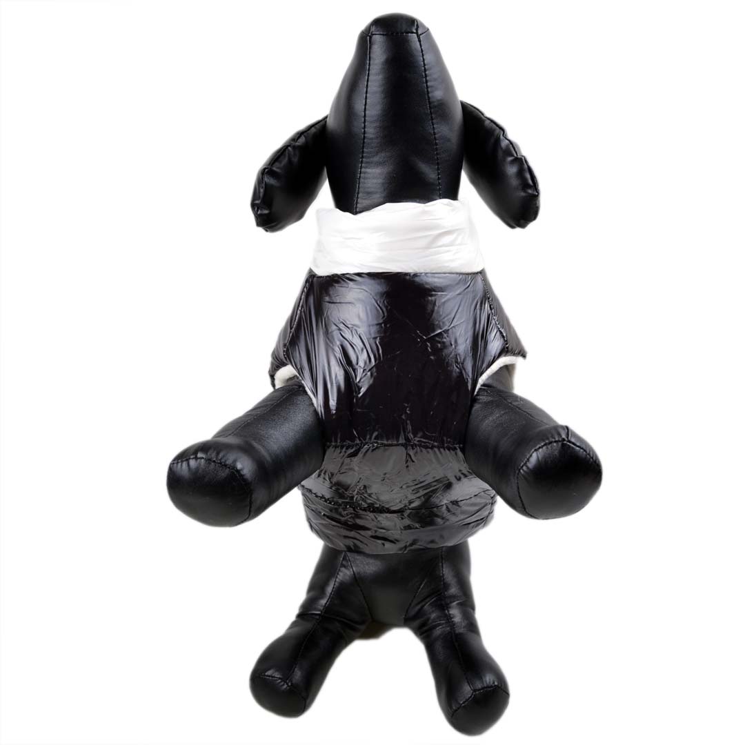 Zimski anorak za pse z zapenjanjem na hrbtu - črna barva