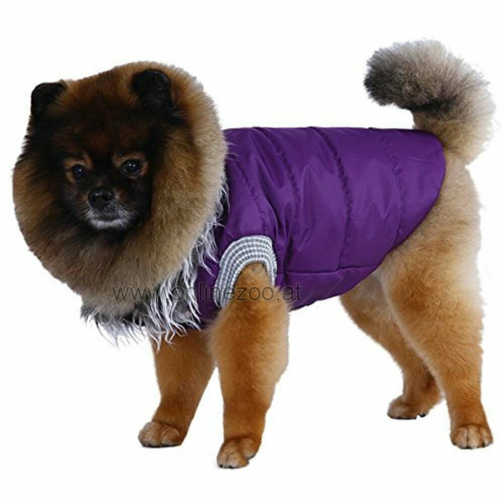 warme Hundebekleidung - lila Hundegewand für den Winter