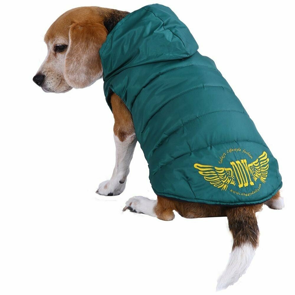 Krila DDY zimska jakna za pse - zelena DoggyDolly