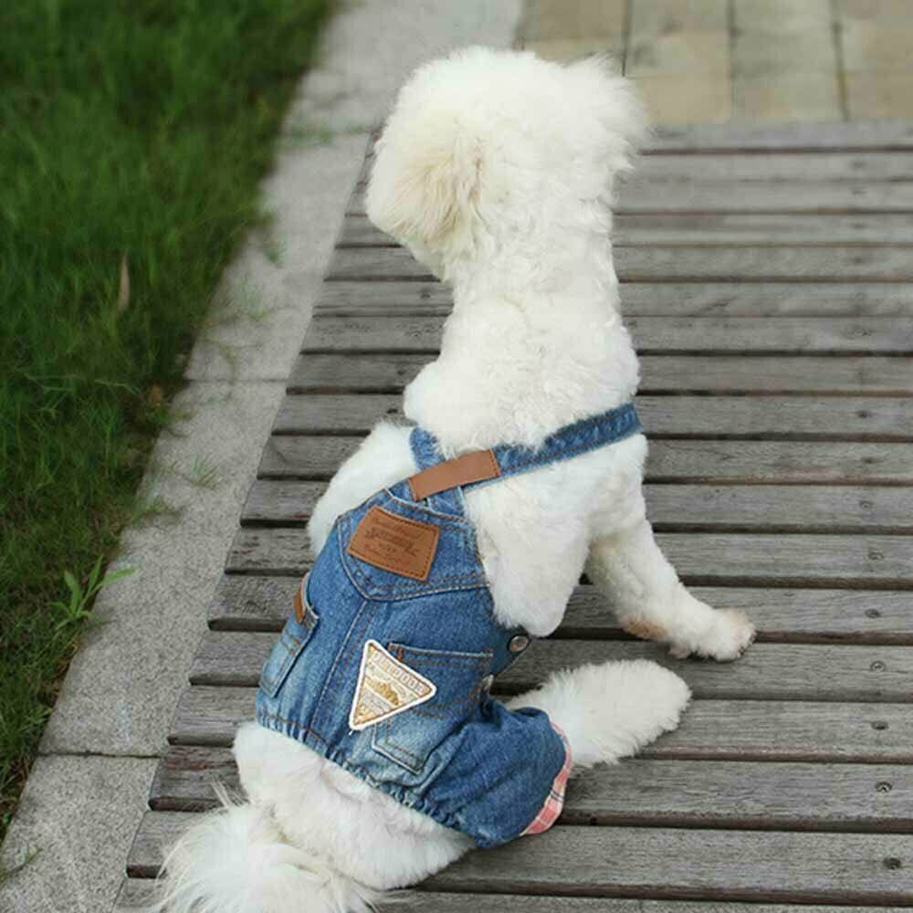 Udobne Jeans hlače za psa - modra barva