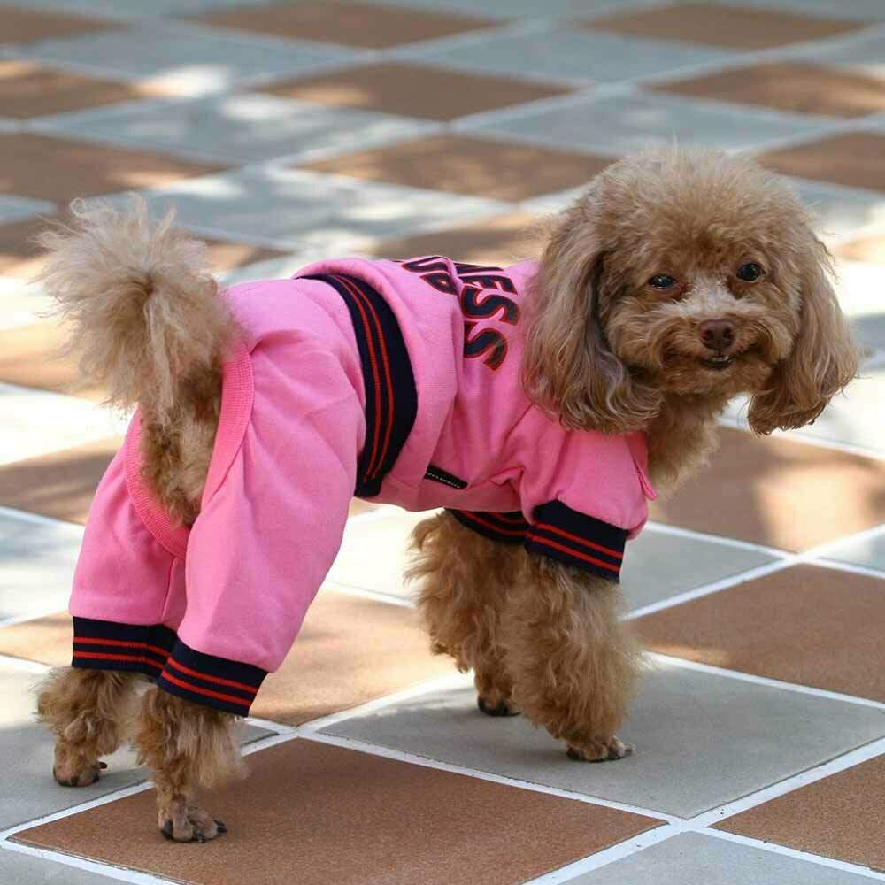 Športno oblačilo  za psa - Komplet "Fitness Club" pink 