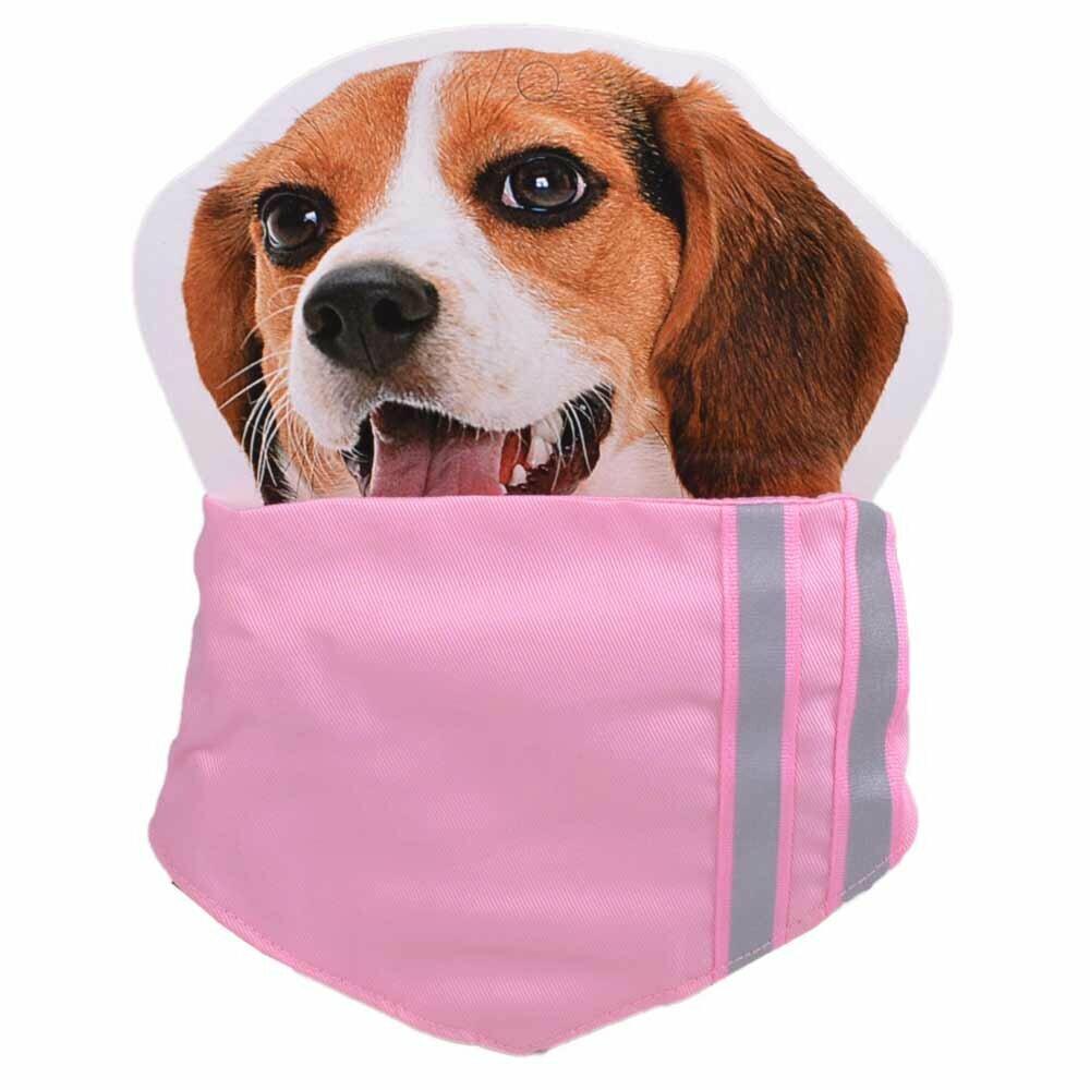 Rutka z ovratnico za psa - pink barva, velikost M
