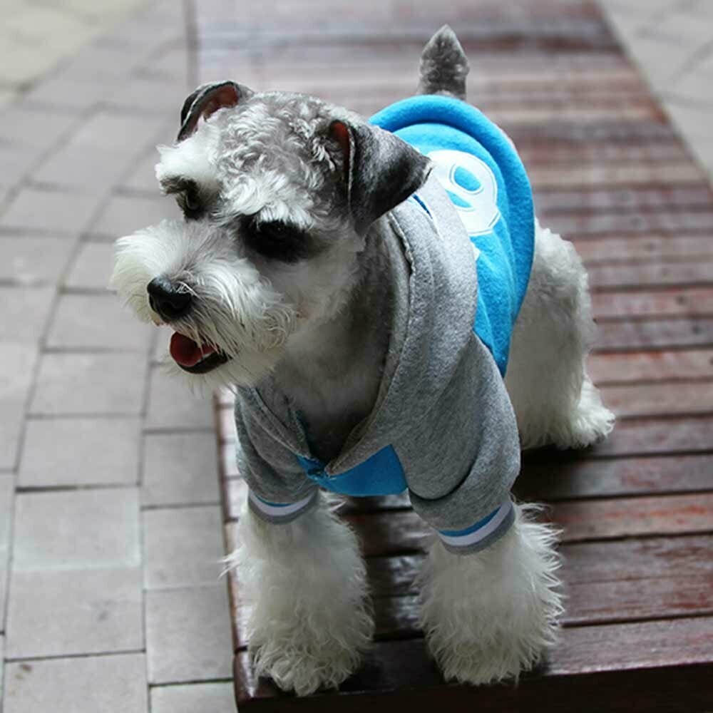 GogiPet topla jakna za psa "New York 69" - modra barva, udobno nošenje