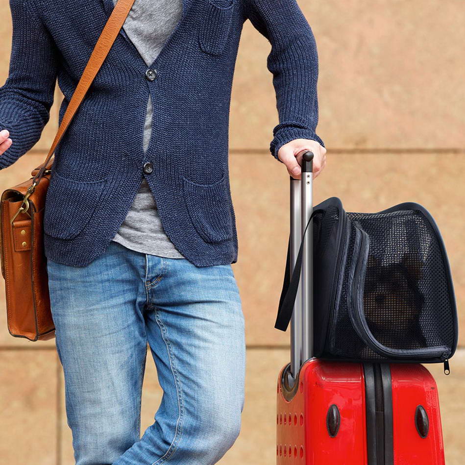 Potovalna torba za pse - torba za potovanja
