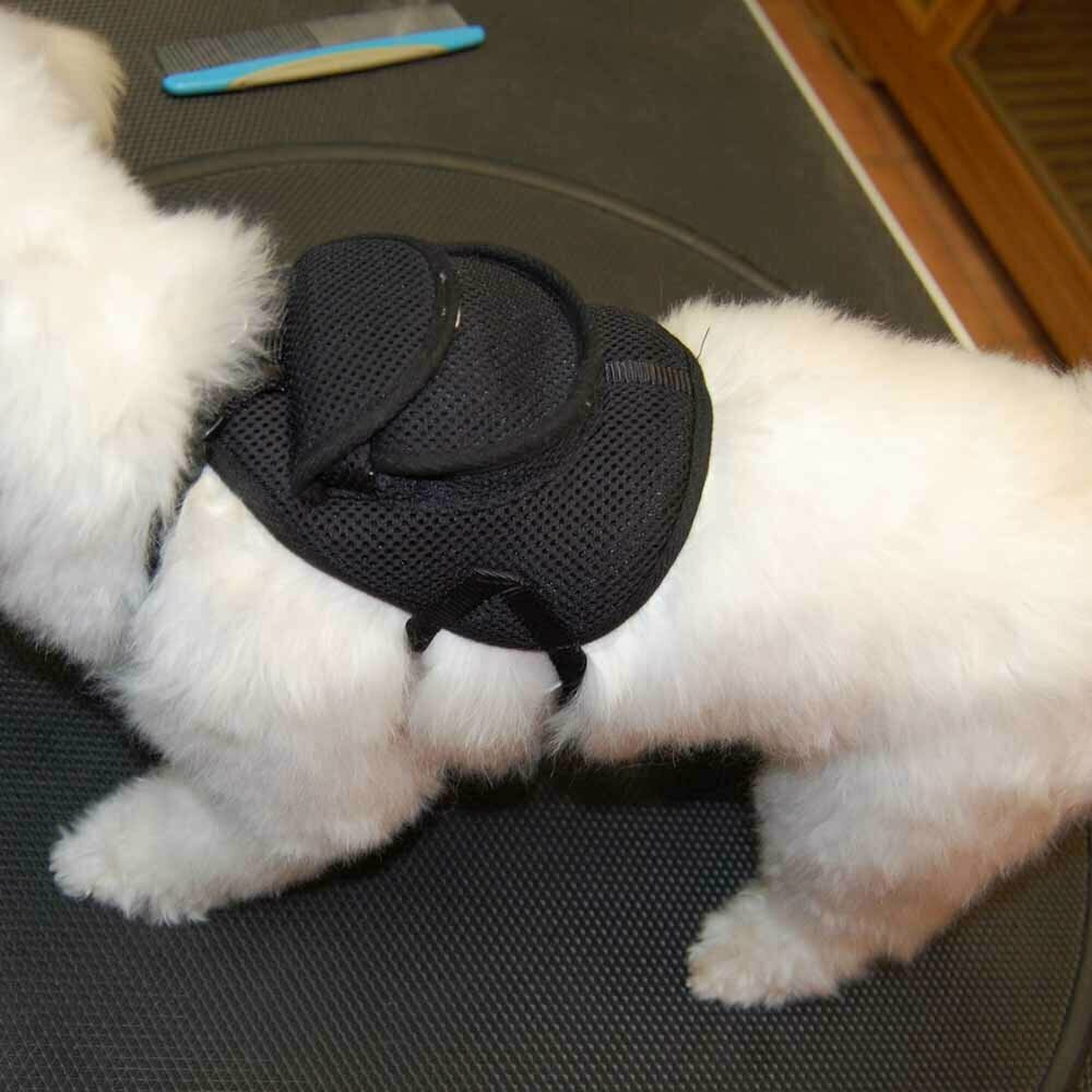 GogiPet ® črna oprsnica z nahrbtnikom za psa - M