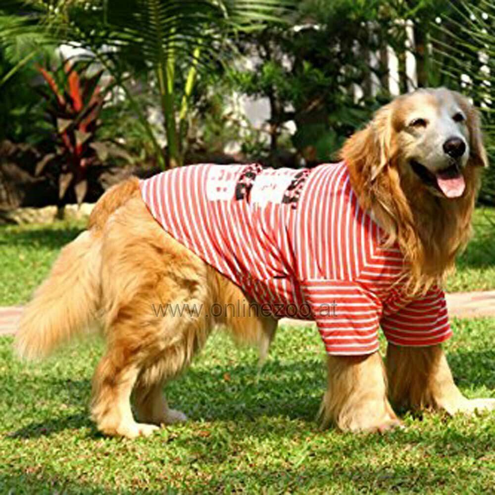 Majice za pse Coolest Dog oranž DoggyDolly