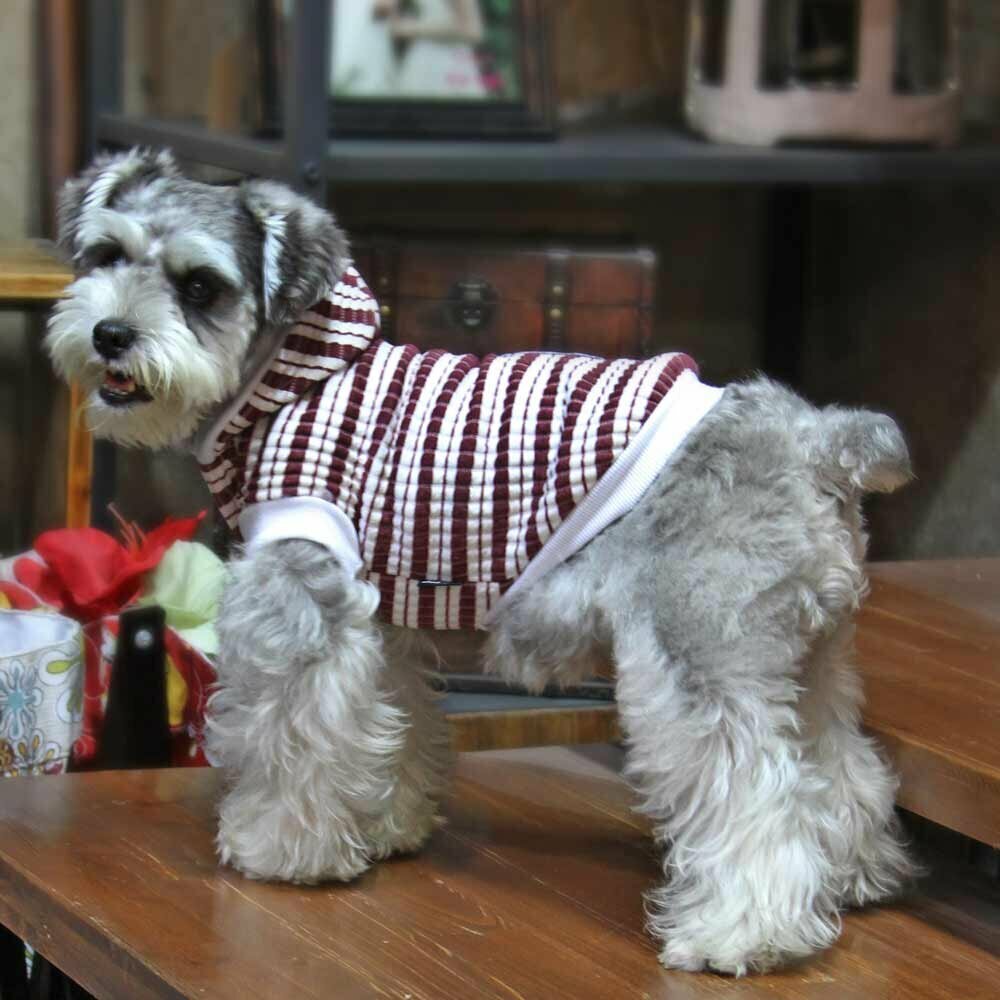 Bombažni pulover za pse - rdeče črte, model Gala