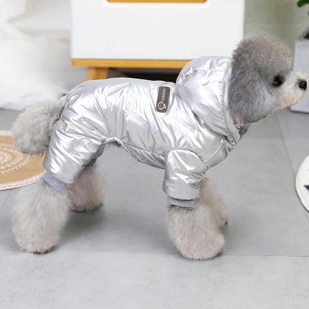 Plašč za pse "Moonwalk" - srebrna barva, kapuca