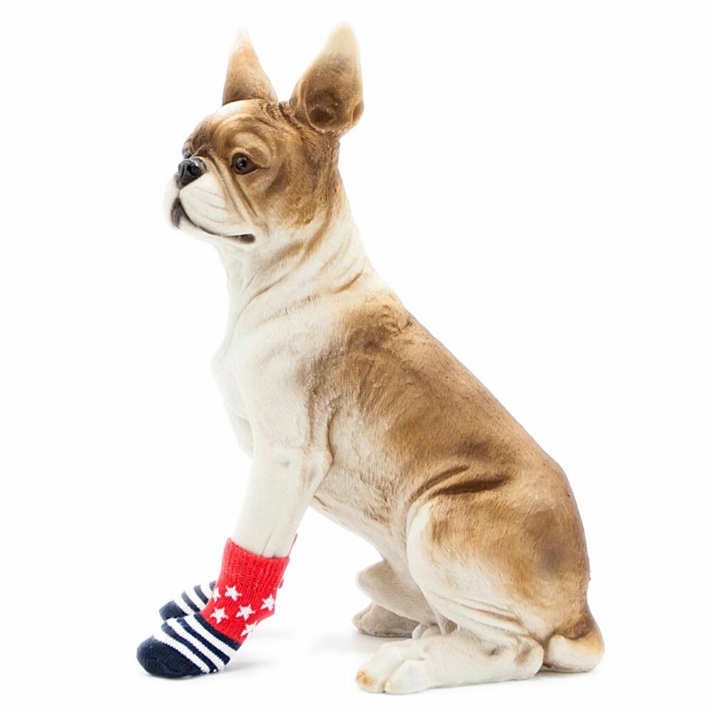 Rdeče nogavice za psa "Zvezda" - zaščitne nogavice