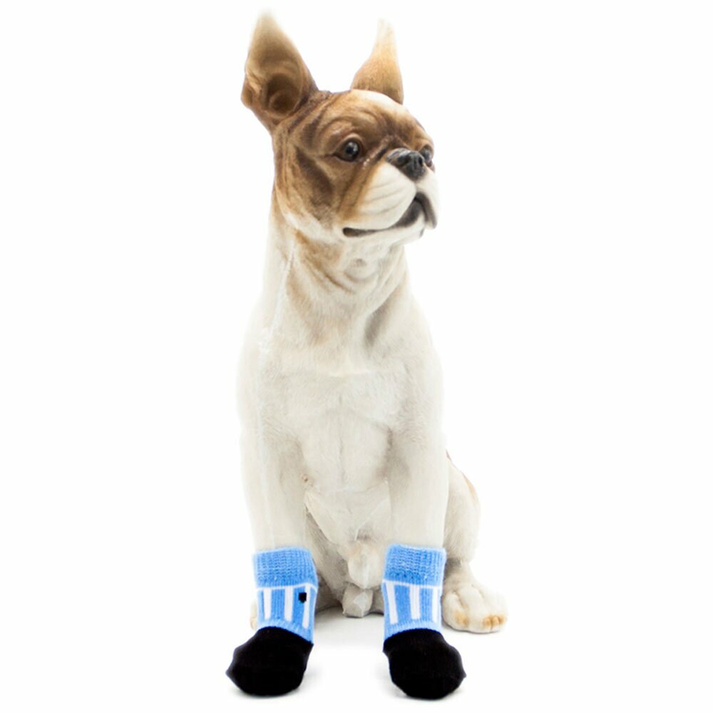 Črtaste nogavice za psa - modro bela barva