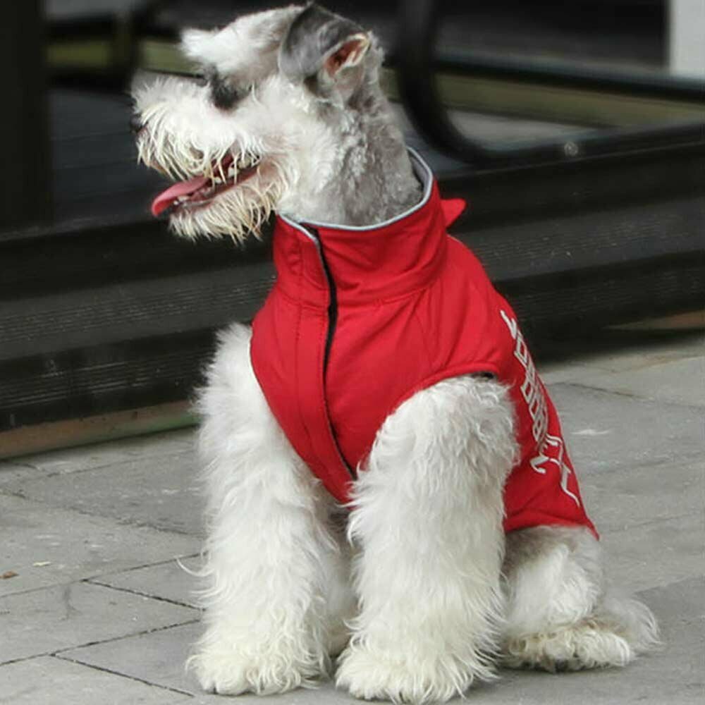 Zimski plašč za psa - rdeča barva, visok ovratnik