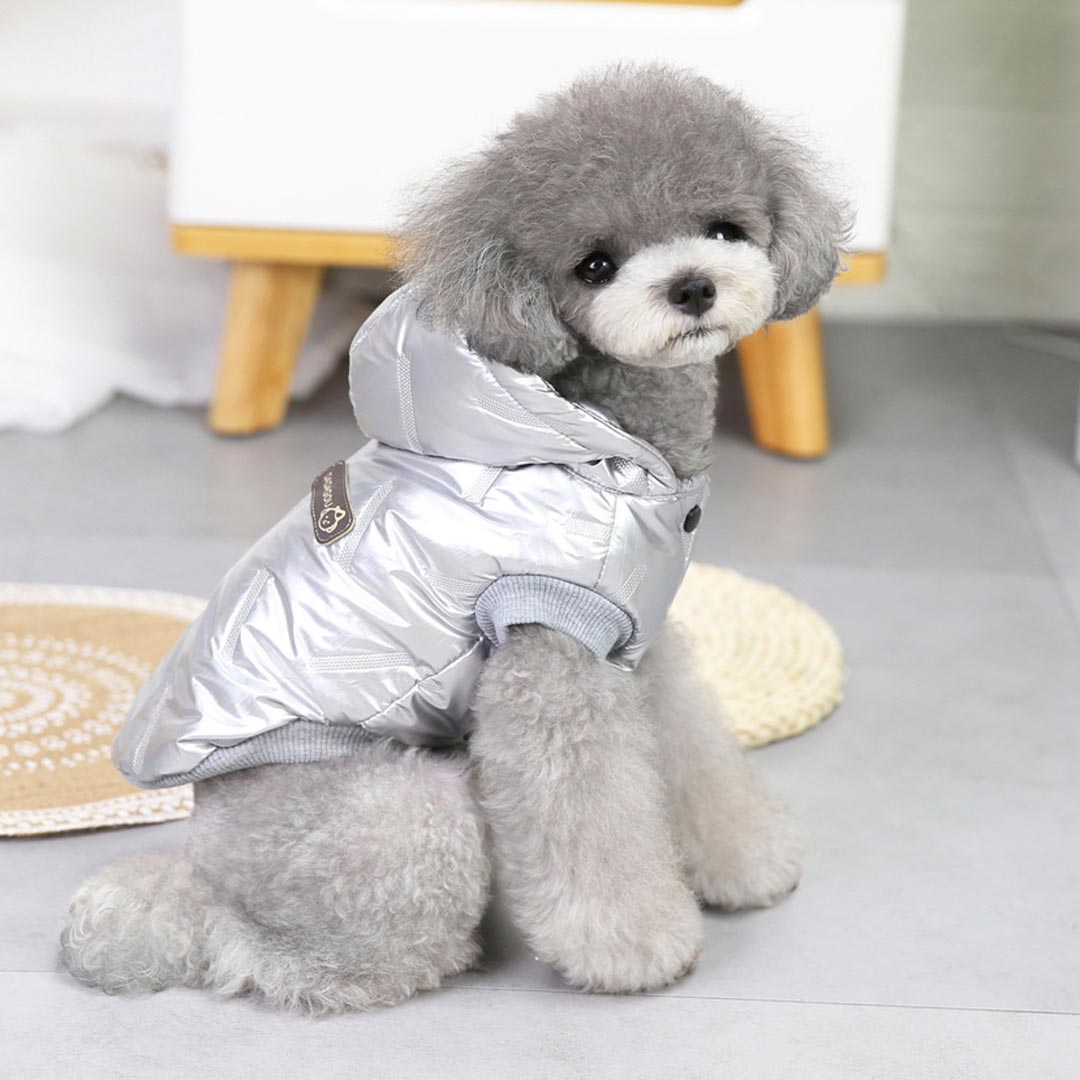 Zimski anorak za pse brez rokavov - srebrna barva