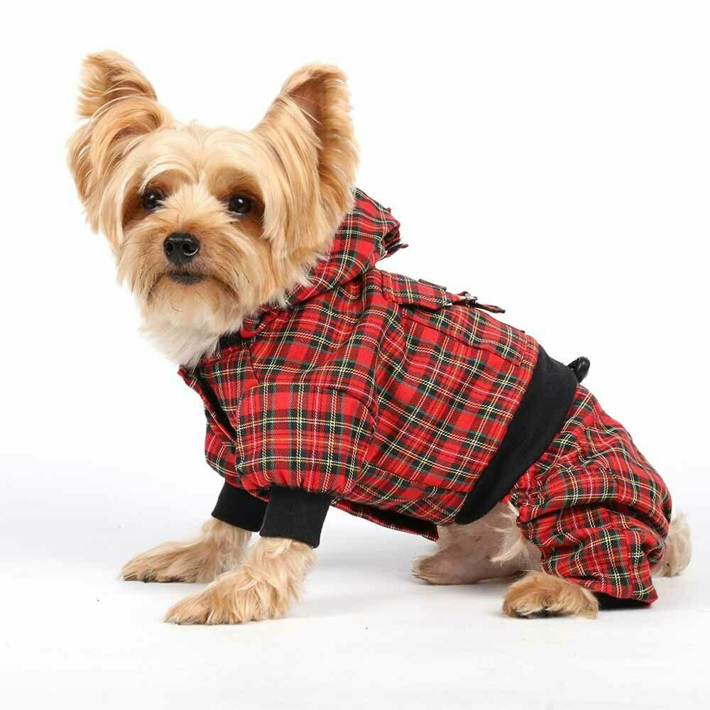 DoggyDolly rdeč karo komplet na 4 tačke - oblačila za pse